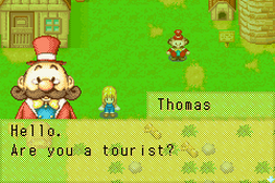 Harvest Moon More Friends of Mineral Town