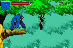 Kong The Animated Series